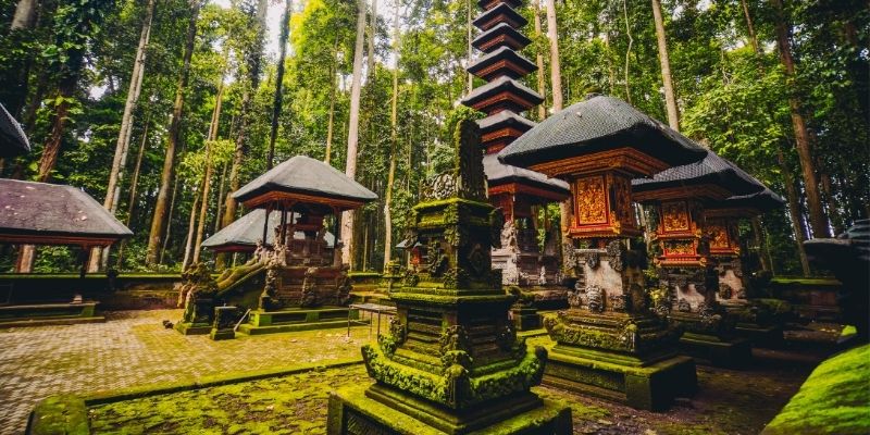 Sacred Monkey Forest Sanctuary